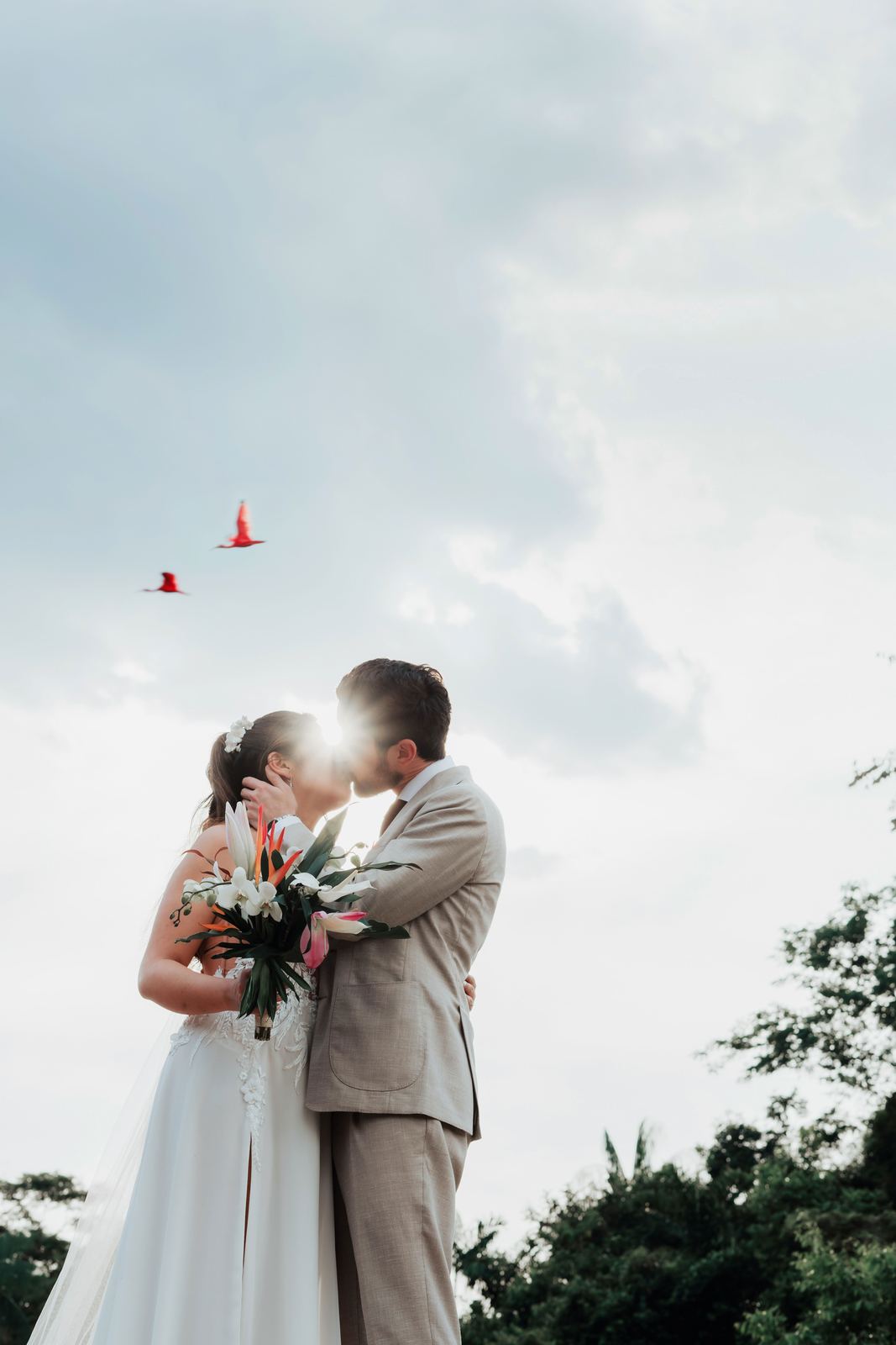 Los novios besándose a contraluz mientras vuelan dos aves rojas